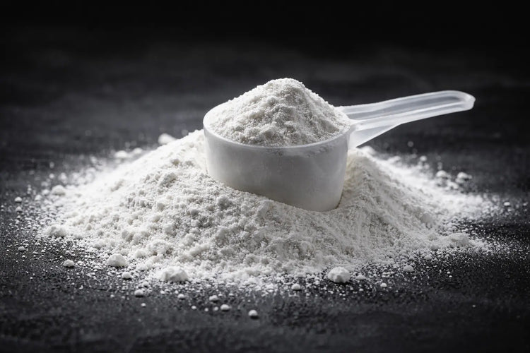 Creatine Guide : Benefits & How to Use It Protein Depot